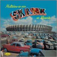 Skank - Multishow no Mineirão